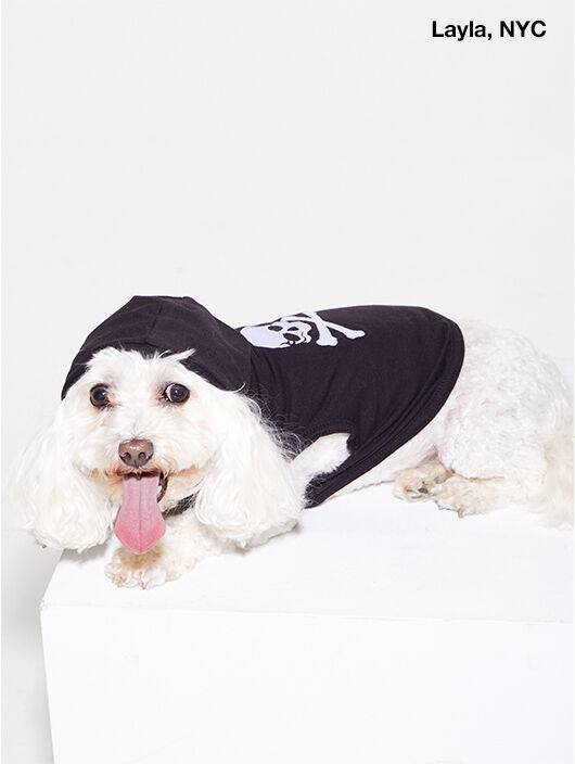DOG SWEATER BLACK